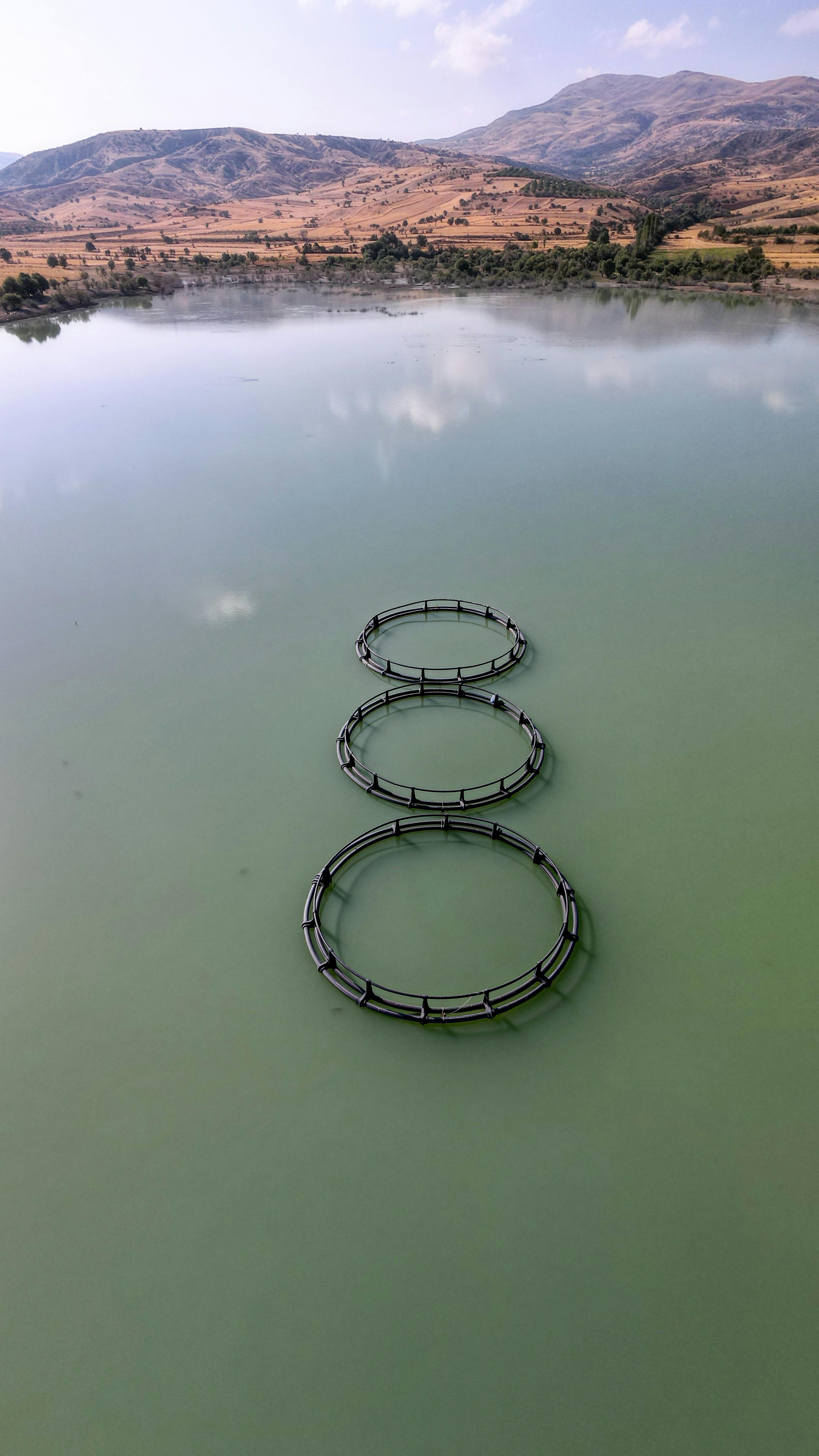 Conductivity Meters are essential for monitoring for metal contamination in fish agriculture