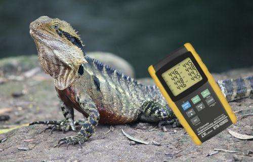 12 channel temperature logger for climate change research