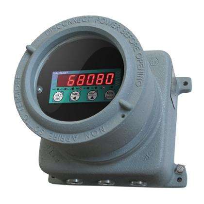 Laumas ADPE W100RIP Explosion Proof Display